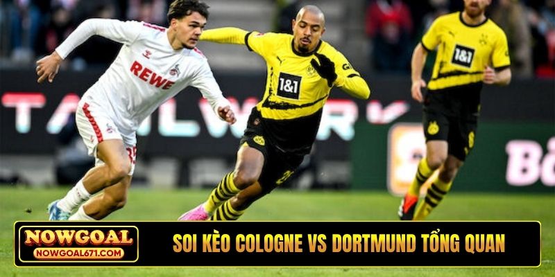 Soi kèo FC Cologne vs Borussia Dortmund tổng quan